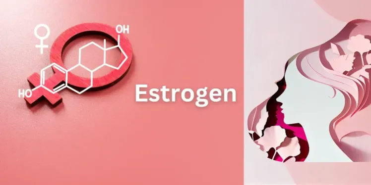 Estrogen Balance